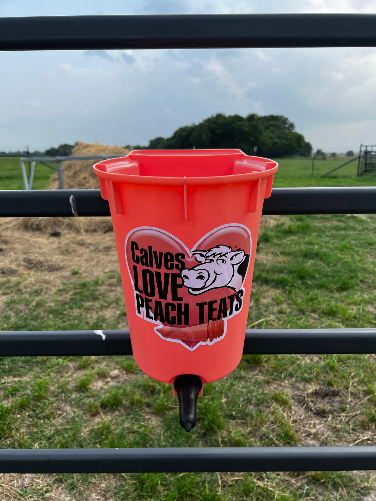 Peach Teat PT1 single calf feeder mounted over a fence rail, view 2
