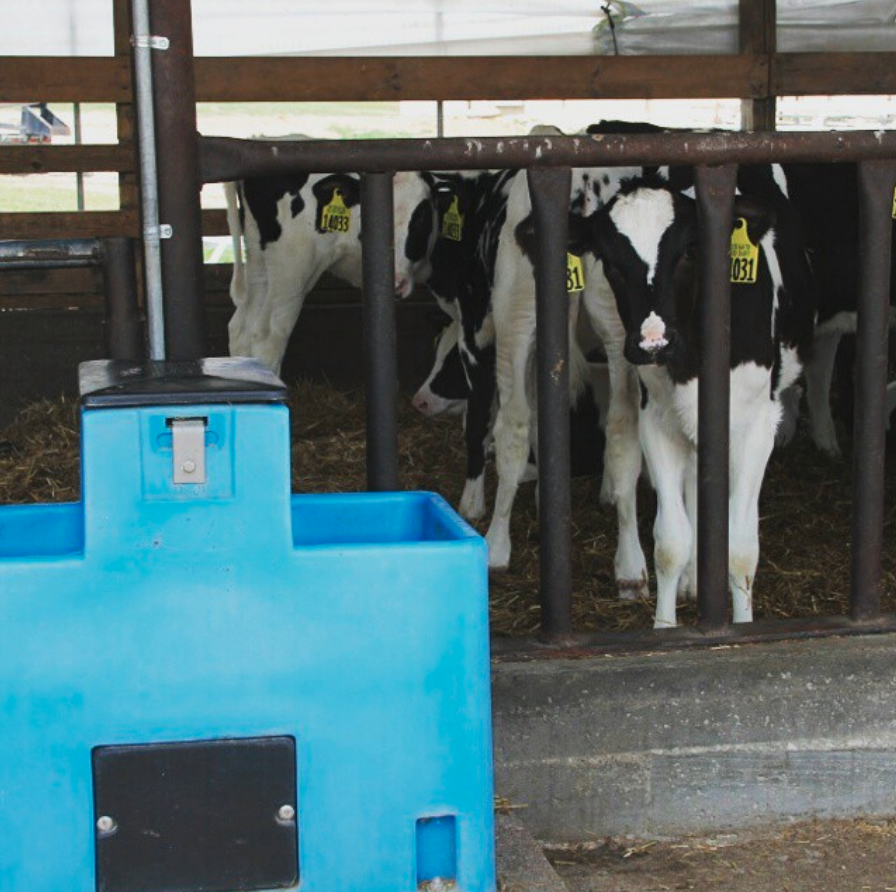 Miraco Lilspring 2900 two trough automatic waterer Heated, view 2