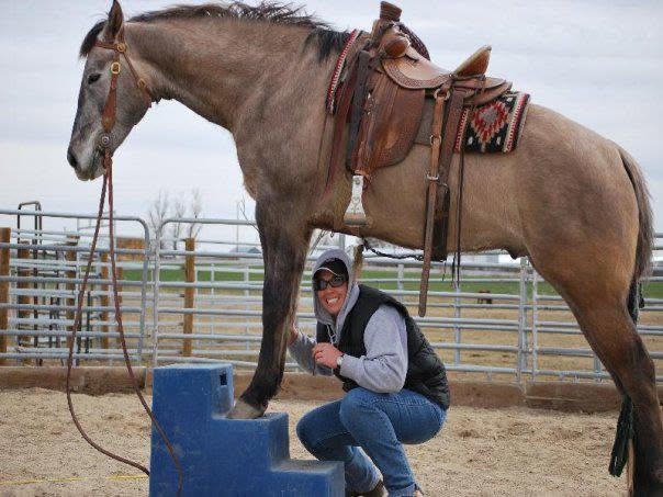 Blue High Country Plastics MS-22 three step mounting block next to a saddled horse