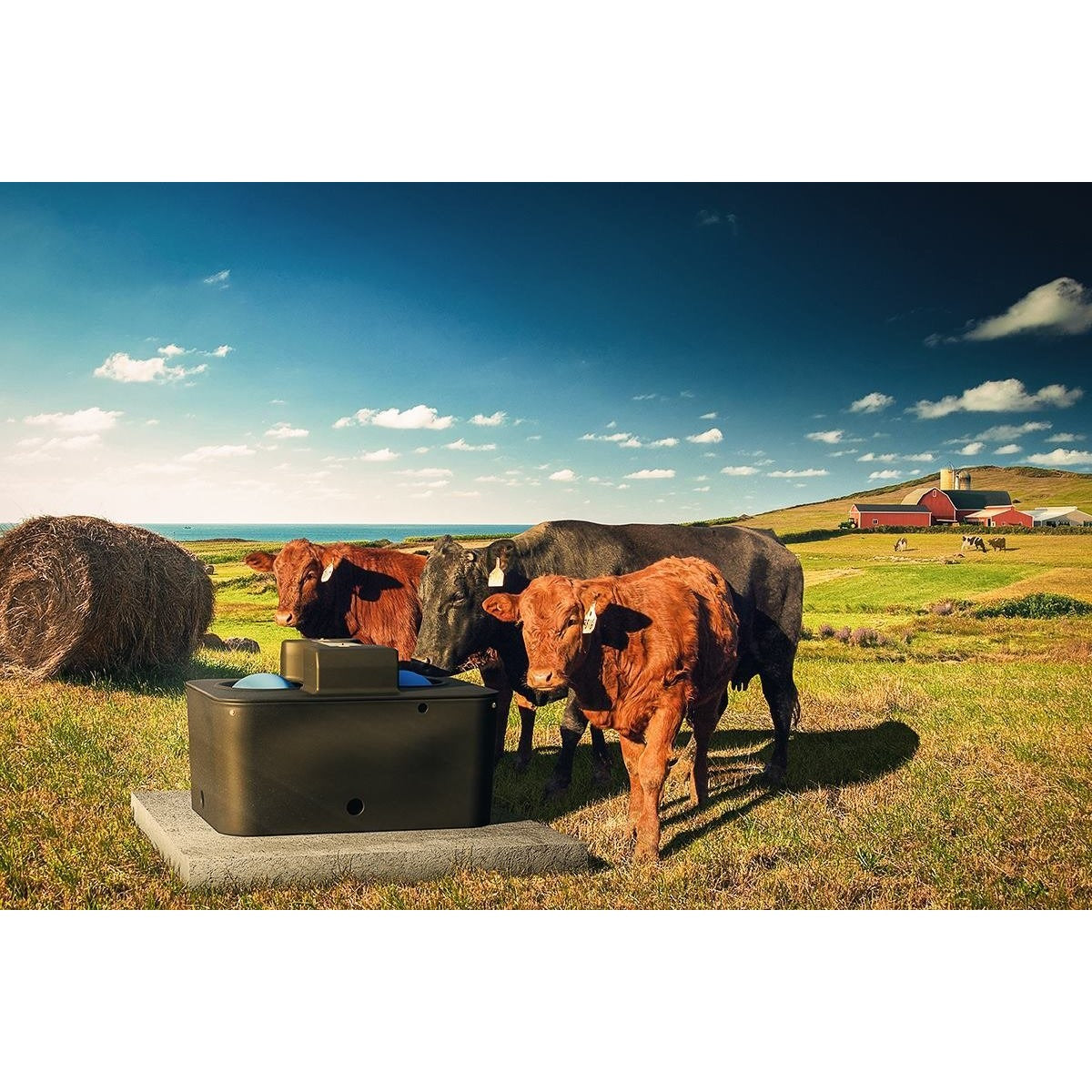 Miraco MiraFount 3465 Unheated Two-Hole Livestock Waterer - additional view 3