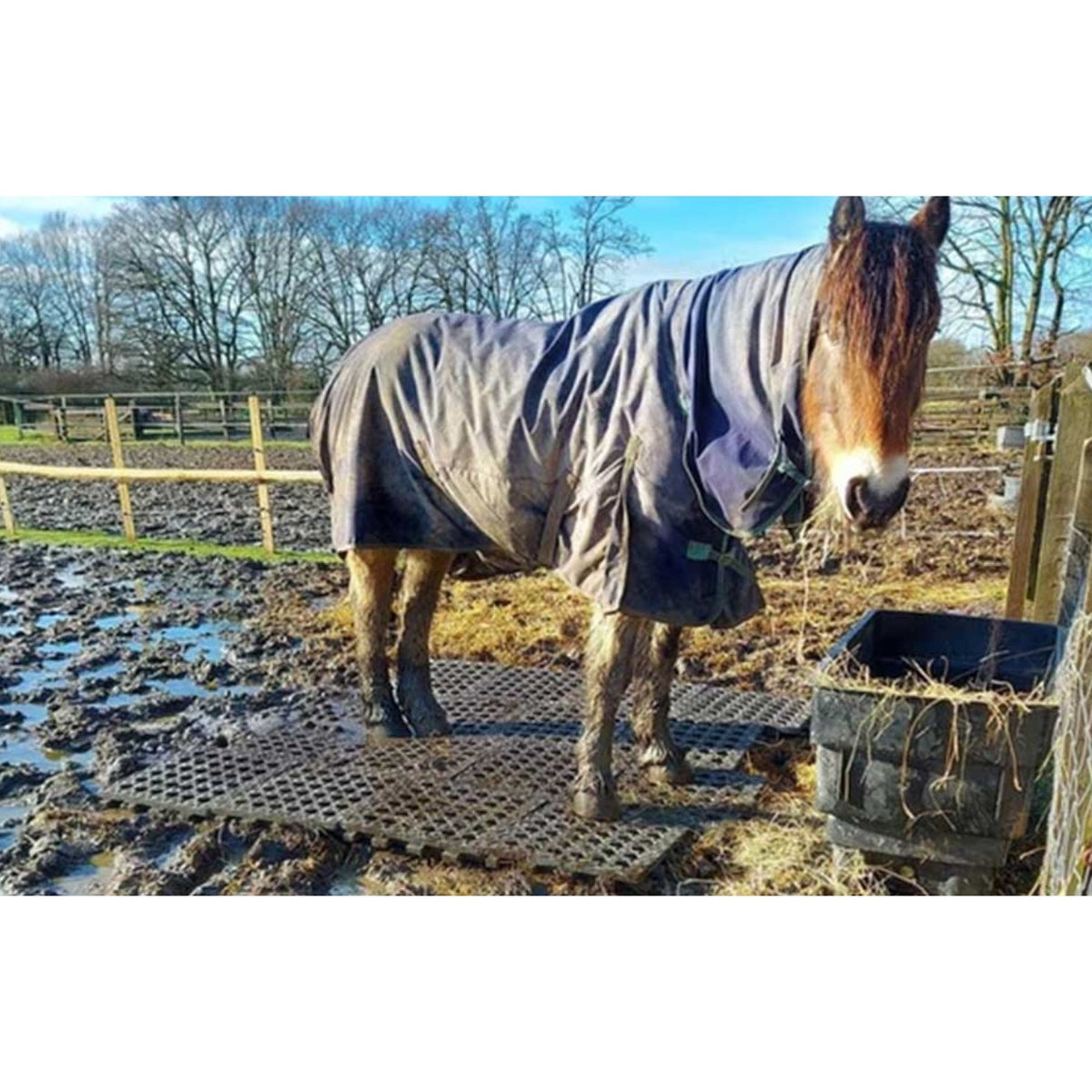 Horse standing clean and dry on Hahn Mud Control Grids while deep mud surrounds the feeding area