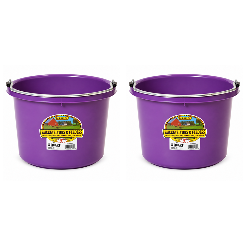 Little Giant 8 quart round plastic buckets in purple, 2 pack