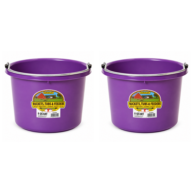 Little Giant 8 quart round plastic buckets in purple, 2 pack