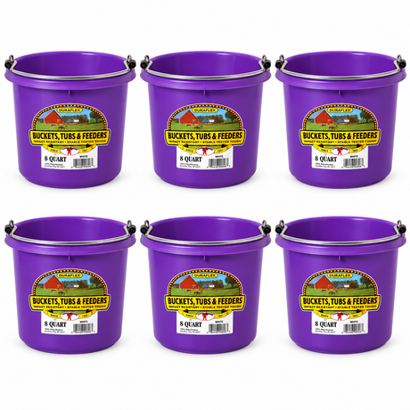Little Giant 8 quart round plastic buckets in purple, 6 pack