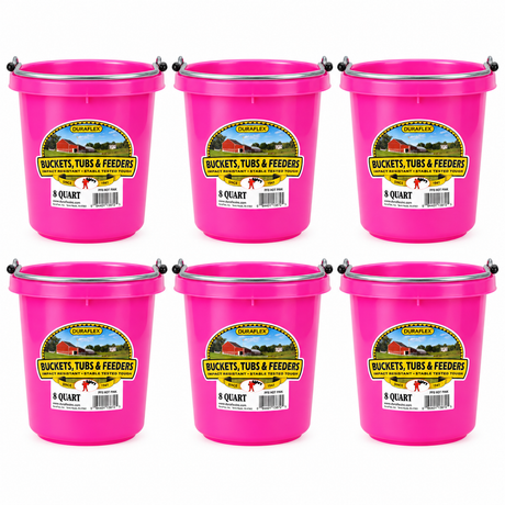Little Giant 8 quart round plastic buckets in hot pink, 6 pack