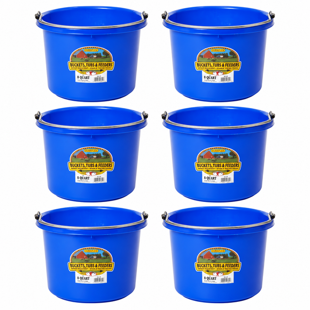 Little Giant 8 quart round plastic buckets in blue, 6 pack