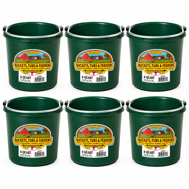 Little Giant 8 quart round plastic buckets in green, 6 pack