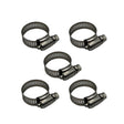 Five metal hose clamps on a white background