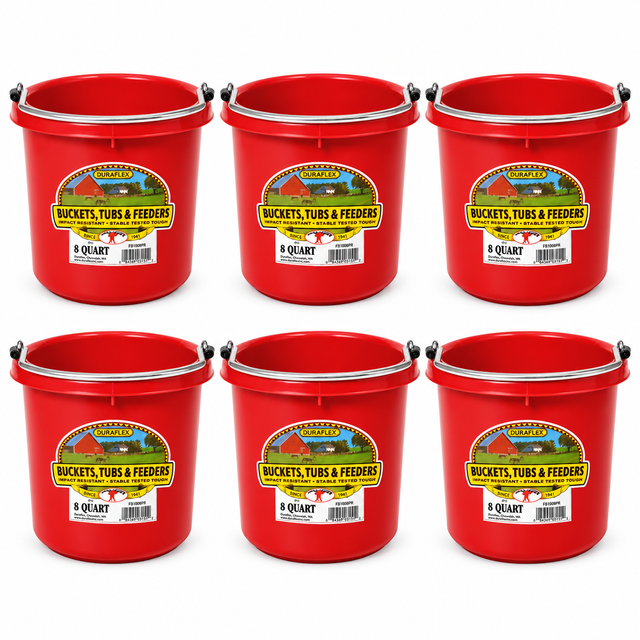 Little Giant 8 quart round plastic buckets in red, 6 pack