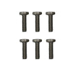 Six metal screws on a white background