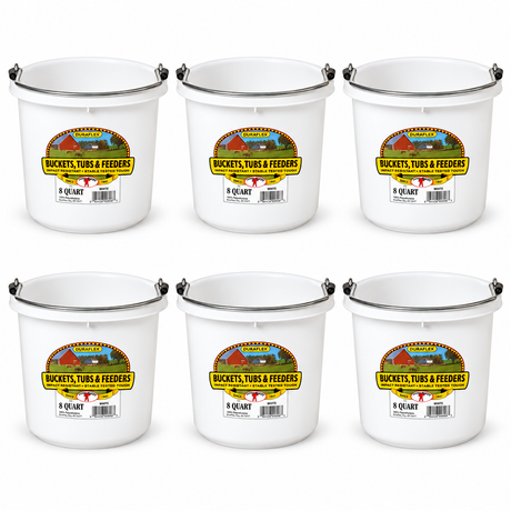 Little Giant 8 quart round plastic buckets in white, 6 pack