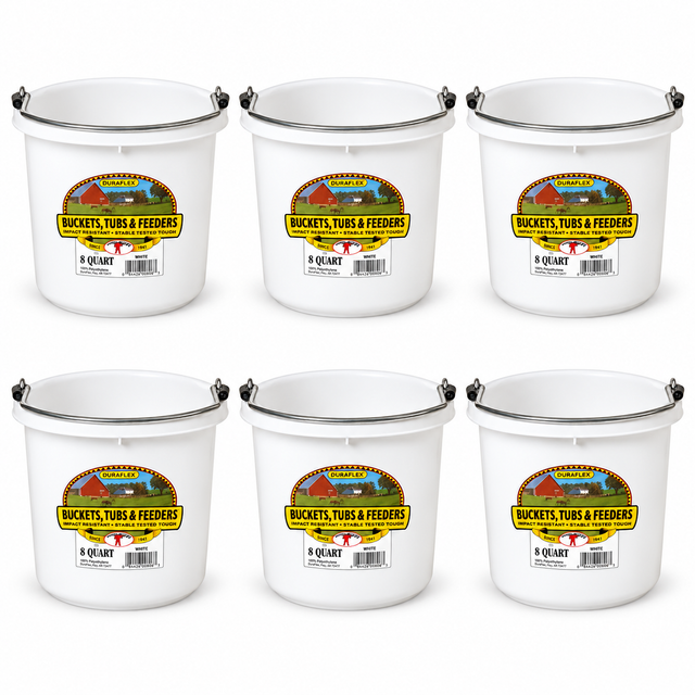 Little Giant 8 quart round plastic buckets in white, 6 pack