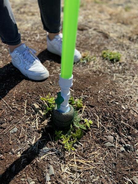 Smucker Hand-held Dauber Weeder, additional view 2