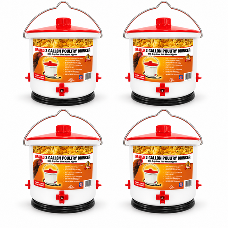 Farm Innovators Heated 2 Gallon Poultry Drinker HB-60P - 4 Pack, part 21283446x4