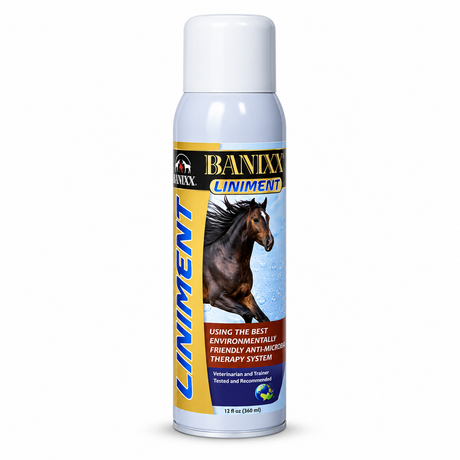 Banixx Premium Analgesic Liniment, 13.2 ounce spray can for horses, part 21308115