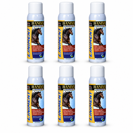 Banixx Premium Analgesic Liniment, case of six 13.2 ounce spray cans, part 21308115x6