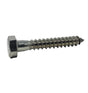 Miraco 700 stainless steel lag bolt, 5/16 inch by 2 inch