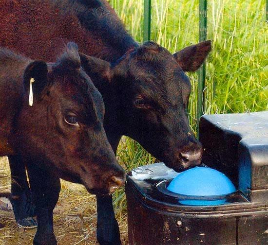 Miraco MiraFount 3465 Unheated Two-Hole Livestock Waterer - additional view 2