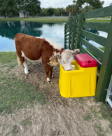 Ritchie Genesis G1 Single Waterer 18880, additional view 4