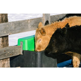 Behlen AHW80 heated waterer in a cattle lot