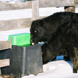 Behlen AHW80 heated waterer in use