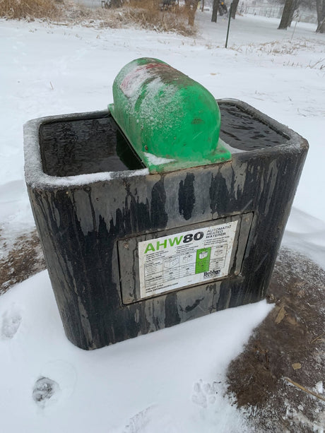 Behlen Country AHW80 heated waterer, part 54150018, holding open water in deep snow with frost on the green float cover