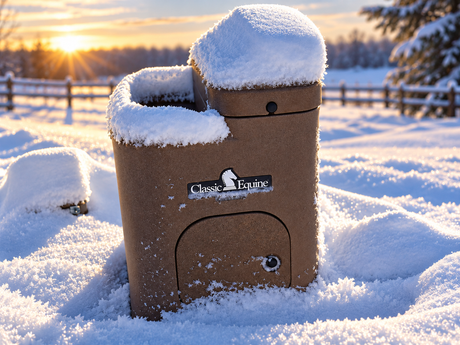 Classic Equine by Ritchie AutoFount 1 horse waterer covered in snow in a winter pasture