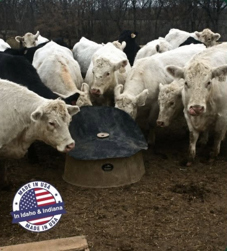 Cattle feeding from a black High Country Plastics BMF-250 bull mineral feeder in a pasture