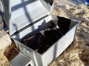 Smucker Manufacturing Roy-L-Heat RH5000 Heated Calf Warmer Box, Free Shipping, additional view 2