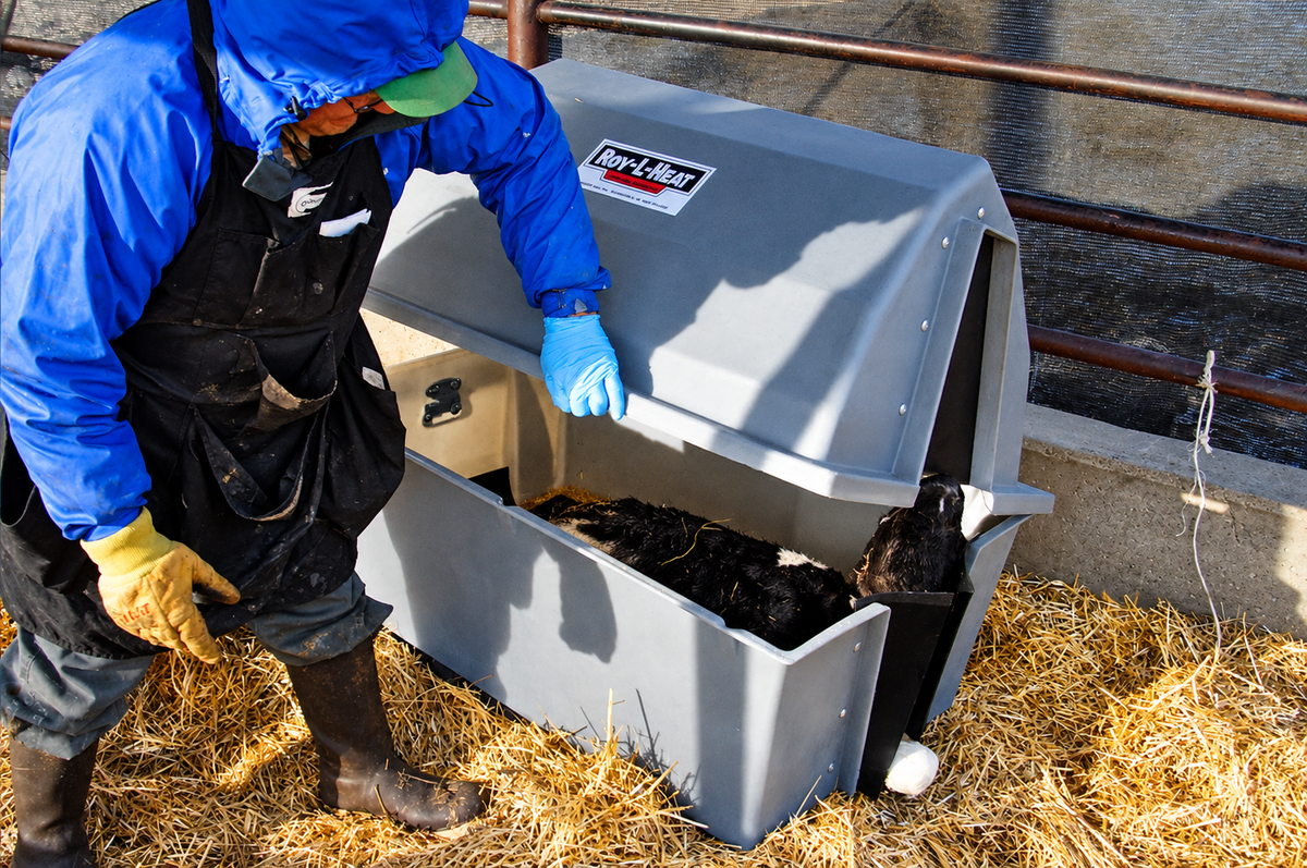 Smucker Manufacturing Roy-L-Heat RH5000 Heated Calf Warmer Box, Free Shipping, additional view 4
