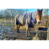 Horse standing clean and dry on Hahn Mud Control Grids while deep mud surrounds the feeding area