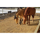 Two horses standing on a sand filled Hahn Paddock Slab paddock in winter