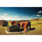 Miraco MiraFount 3465 Unheated Two-Hole Livestock Waterer - additional view 3