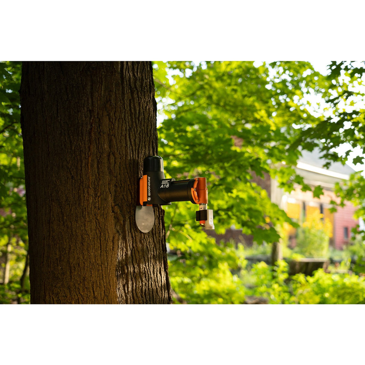 Goodnature A18 Squirrel Trap Kit, part GNK-A18-003 - Goodnature replacement part - additional view 2