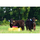Ritchie Genesis G2 Double Waterer 18885, additional view 2